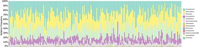 Biocultural Drivers of Salivary Microbiota in Australian Aboriginal and Torres Strait Islander Children